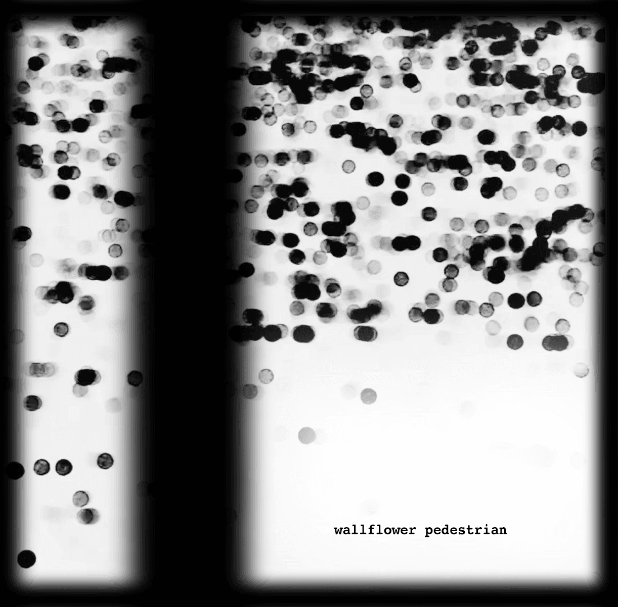 Wallflower Pedestrian