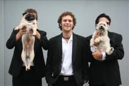 The Teddysexuals