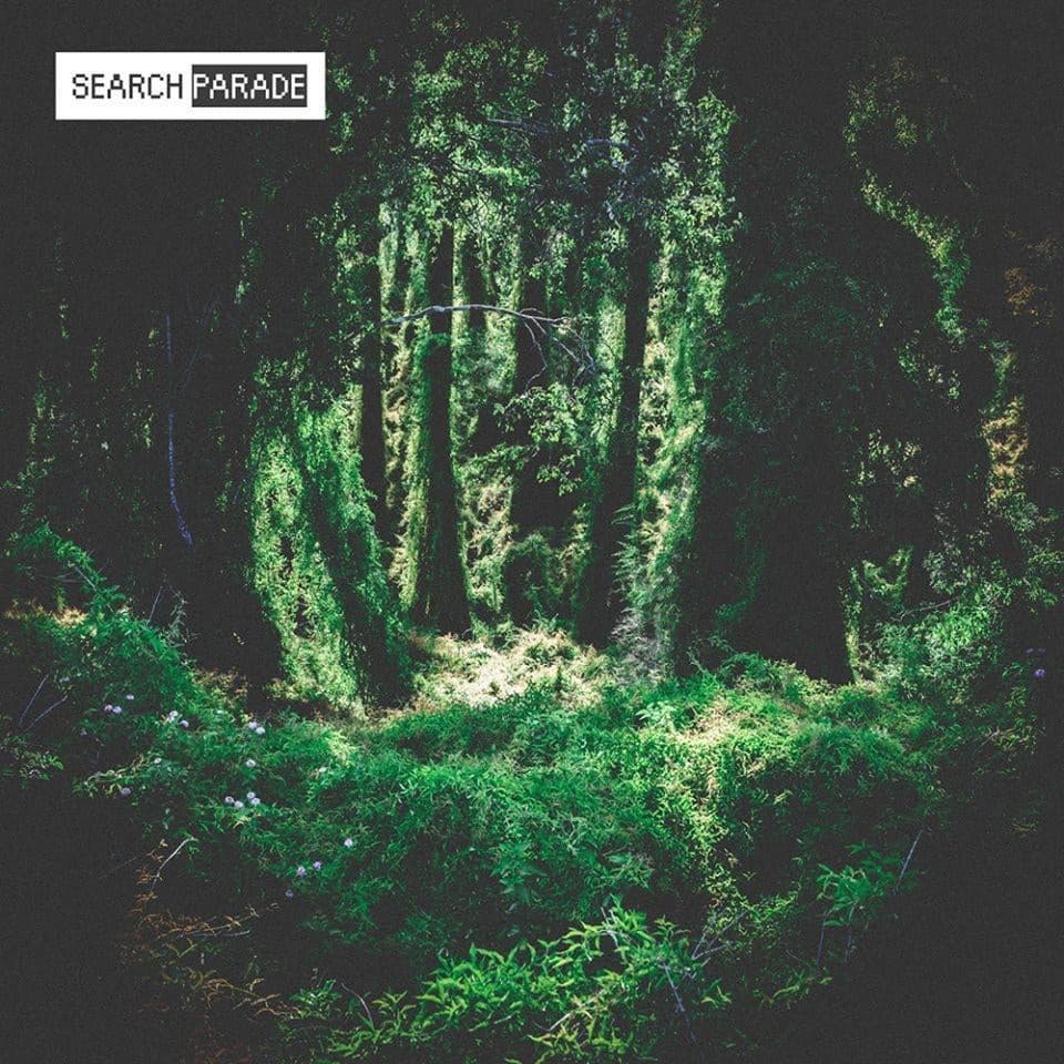 Search Parade