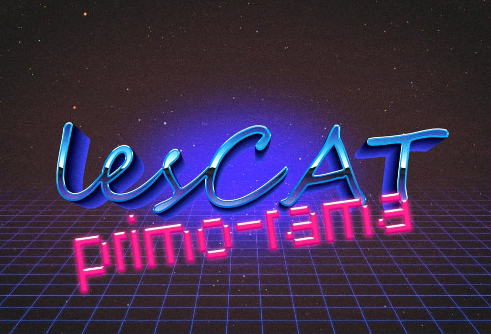 lesCAT