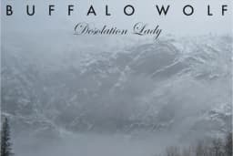 Buffalo Wolf