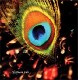 Cellophane Rain