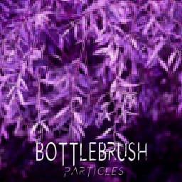 Bottlebrush