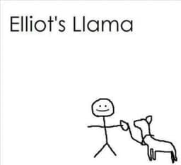 Elliot's Llama