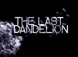 The Last Dandelion