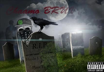 Chaamo BRUV