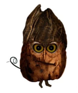 Owlbert