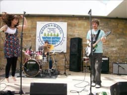 The Common Seabirds