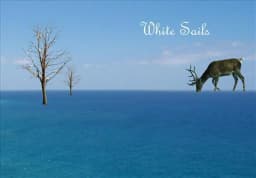 White Sails