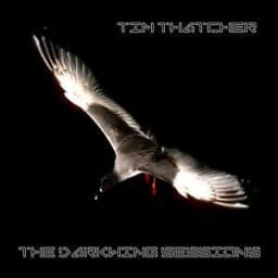 thatchertime feat Darkwing