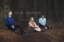 Your Ostrich