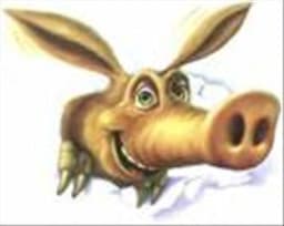 AAA Aardvark