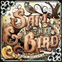 Sam And The Bird