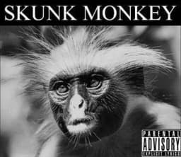 SKUNK MONKEY