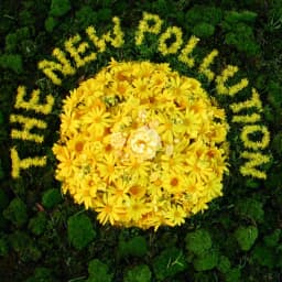 The New Pollution