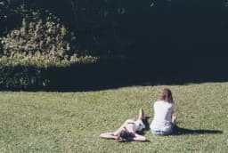 Assi