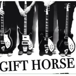 Gift Horse