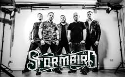 Stormbird