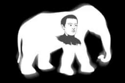Caligula and the White Elephants