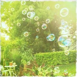 The Visual Fields