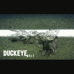 DUCKEYE