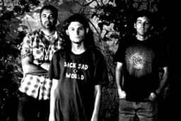 Therapy Of Noise