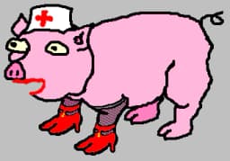 The Higgledy Pigglets