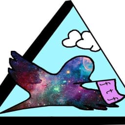 Fly The Flag