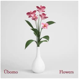 Übomo