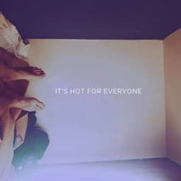 IT'S HOT FOR EVERYONE