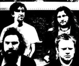 The Fuss