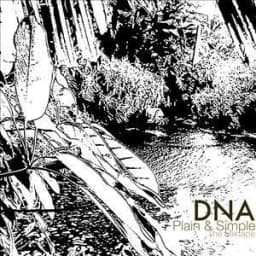 *DNA*