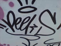 Peeks