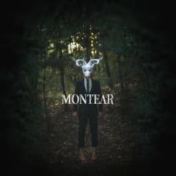 Montear