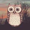 The Night Owl