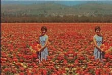 Flower Maze