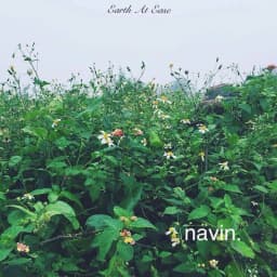 navin.