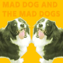 Mad Dog and the Mad Dogs