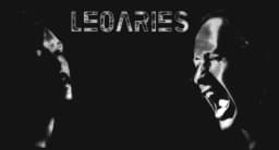 LeoAries