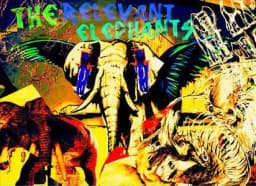 The Relevant Elephants