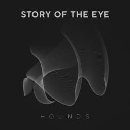 Story of the Eye