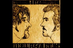 The Monkey Bars