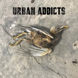 Urban Addicts
