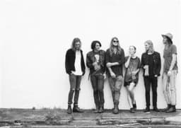 The Chitticks