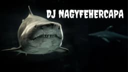 DJ NagyFeherCapa
