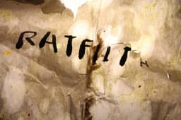 Rat Filth