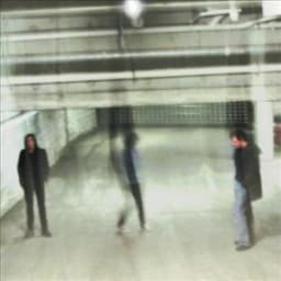 Agents Of Insight