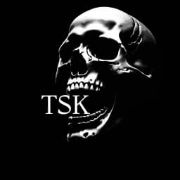 TSK.mp3