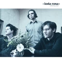 Ioda Rosa