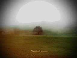 Bartholomew